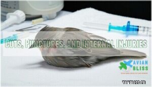 cuts, punctures, and internal injuries cuts, punctures, and internal injuries