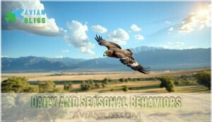 daily and seasonal behaviors