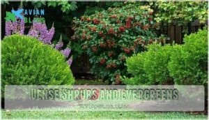 dense shrubs and evergreens
