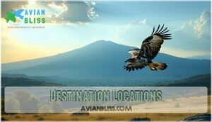 destination locations