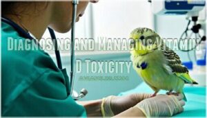 diagnosing and managing vitamin d toxicity