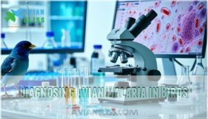 diagnosing avian malaria in birds