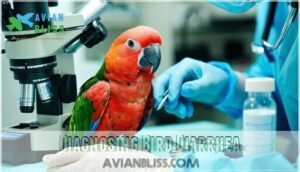 diagnosing bird diarrhea