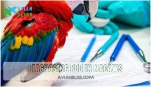 diagnosing pdd in macaws