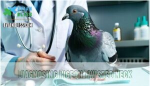 diagnosing pigeon twisted neck