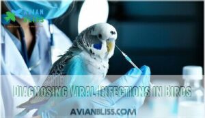 diagnosing viral infections in birds