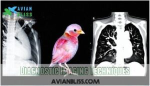 diagnostic imaging techniques