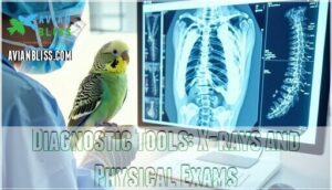 diagnostic tools: x-rays and physical exams