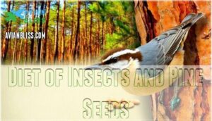 diet of insects and pine seeds