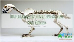 differences between avians and non-avians