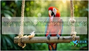 digestive and gastrointestinal changes