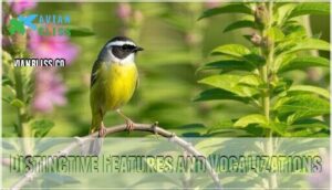distinctive features and vocalizations