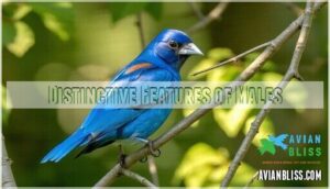 distinctive features of males