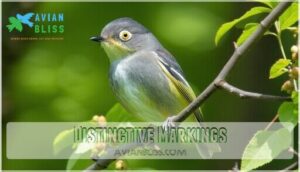 distinctive markings