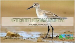 distinctive physical features