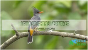 distinguishing features