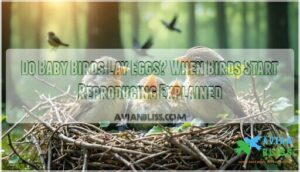 do baby birds lay eggs