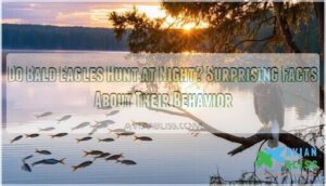 do bald eagles hunt at night