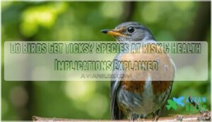 do birds get ticks
