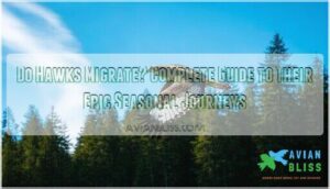 do hawks migrate