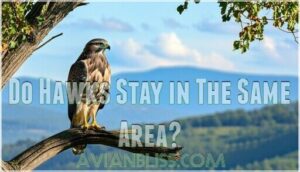 do hawks stay in the same area