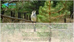 dry, open forests of western north america