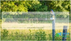 eastern bluebird habitat