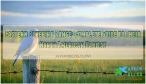 eastern bluebird range