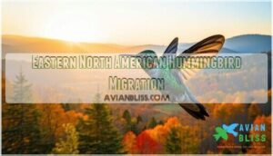 eastern north american hummingbird migration