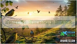 eastern usa birdwatching hotspots