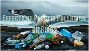 effects of plastic pollution on birds effects of plastic pollution on birds