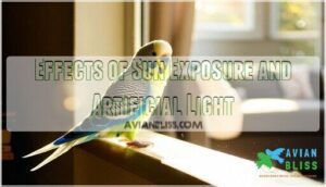 effects of sun exposure and artificial light