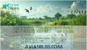 effects on native and migratory birds