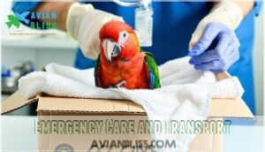emergency care and transport