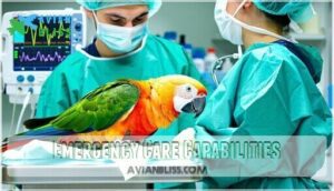 emergency care capabilities