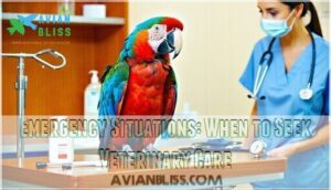emergency situations: when to seek veterinary care