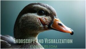 endoscopy and visualization