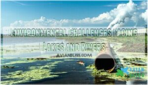 environmental challenges facing lakes and rivers