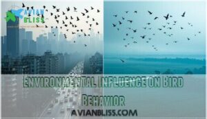 environmental influence on bird behavior