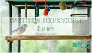 environmental modifications and support