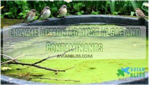 enzyme action against algae and contaminants