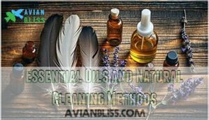 essential oils and natural cleaning methods