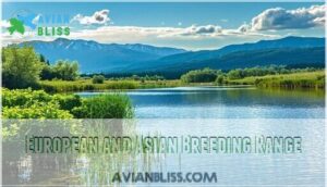 european and asian breeding range