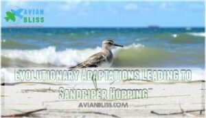 evolutionary adaptations leading to sandpiper hopping evolutionary adaptations leading to sandpiper hopping