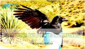 exceptions and permits in california