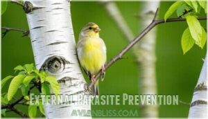 external parasite prevention