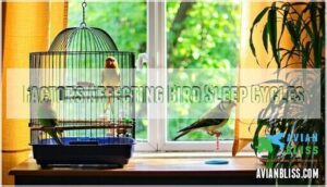 factors affecting bird sleep cycles factors affecting bird sleep cycles