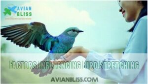 factors influencing bird stretching