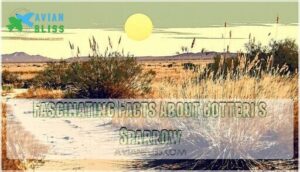 fascinating facts about botteri's sparrow