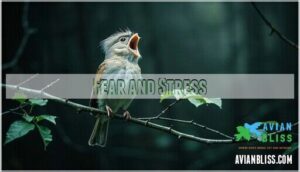 fear and stress fear and stress